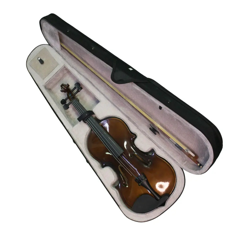 brown-violin-with-hardcase.webp