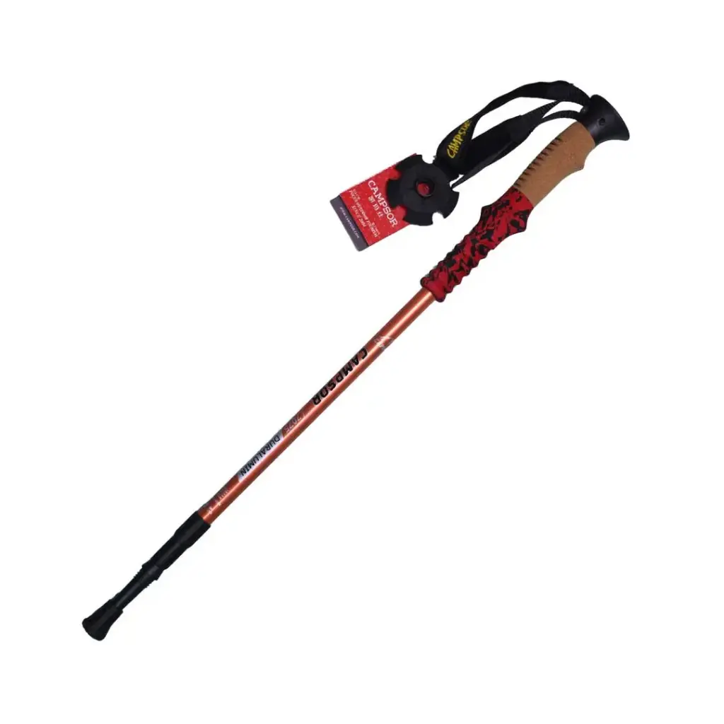 Carbon Hiking Stick
